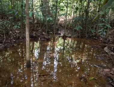Forest dept treads cautiously over Great Canara Trails