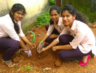 St Agnes Degree College holds plantation drive
