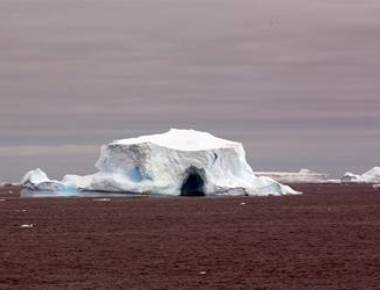 Why sea ice cover around Antarctica is rising?