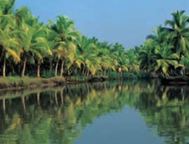   Kerala voted best leisure destination in India