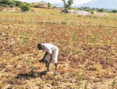   Demonetisation hits PM’s flagship crop insurance scheme