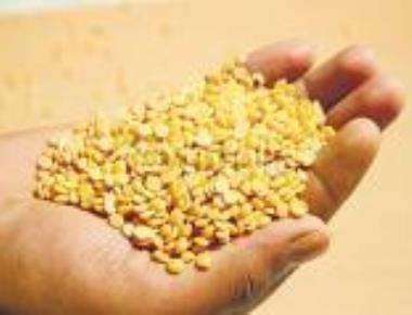 Govt to import add'l 5,000 tons of tur dal to check prices