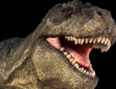 New dinosaur species found in Spain
