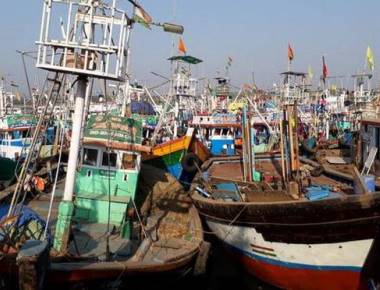 I-T searches reveal undisclosed income by fish processing units