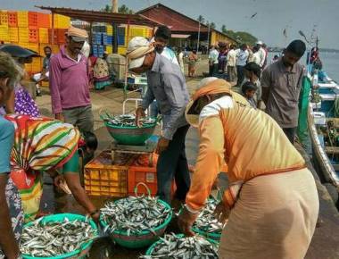 Gangolli set to emerge as a major fisheries centre