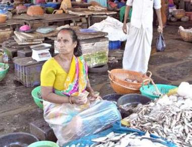 Fishing industry takes a hit