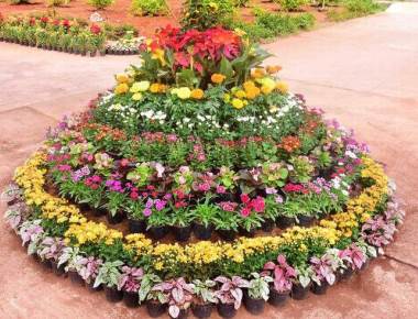 Flower show begins in Udupi tomorrow