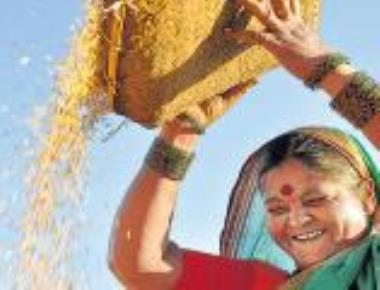 Food production in Karnataka set to fall 35% below target