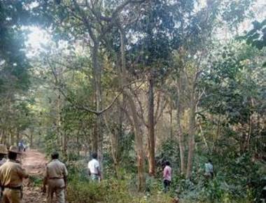 Tree cutting begins amid police security