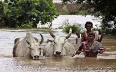  Odisha seeks army, IAF help in flooded areas