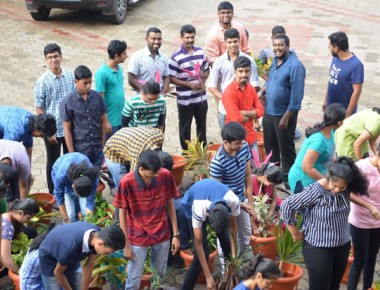 ICYM Bajjodi observes Green Day