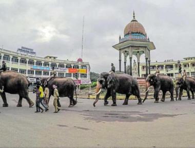 Jumbos begin Dasara rehearsal