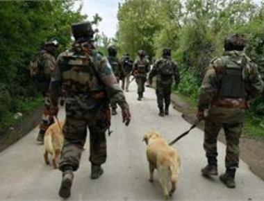 Forces carry out major search op in Kashmir's Shopian for 2nd time in two weeks