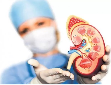 Karnataka has high rates of metabolic risk factors: Report