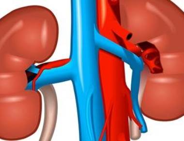 Increase vitamin D levels to cut kidney problems