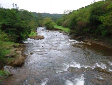Karnataka gets 13.52 tmcft of Mahadayi water