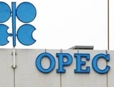 Oil prices plunge as OPEC output increases