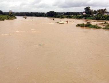 Paddy fields inundated following heavy rain