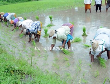 Expert view sought on time needed to complete pending NH 66 work