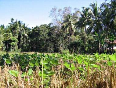 Final notification issued to acquire 960 acres for MRPL