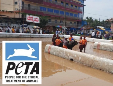  PETA to complain to SC regarding torture to animals in Kambala in Moodbidri