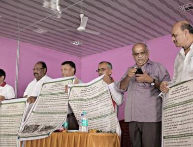 Farmers urged to grow oil palm in clusters