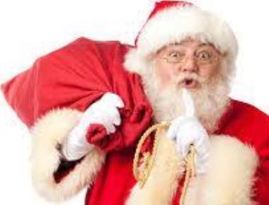NGT junks plea to ban Christmas trees, Santa Claus costume