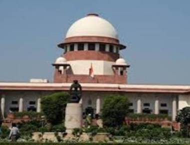 No stay on cattle slaughter ban but SC seeks government explanation
