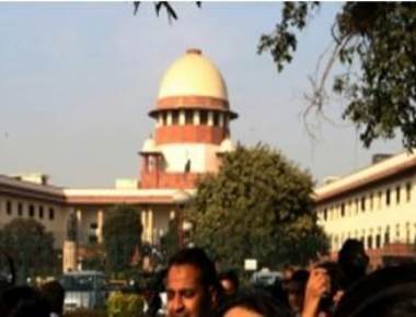 SC stays rules banning sale of cattle for slaughter
