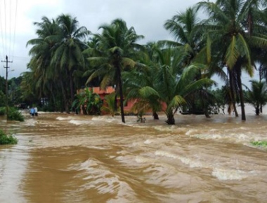 Heavy rain claims 3 lives 