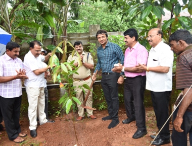 Vikas PU College celebrates World Environment Day